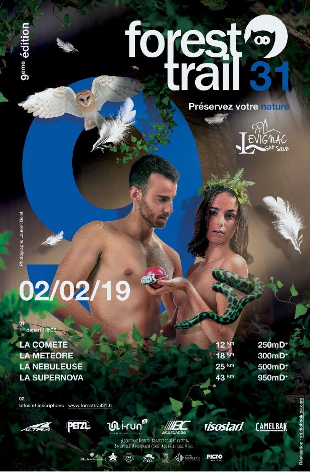 Forest Trail Forest Trail