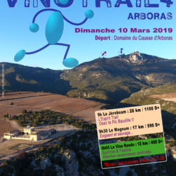 Vino Trail Arboras