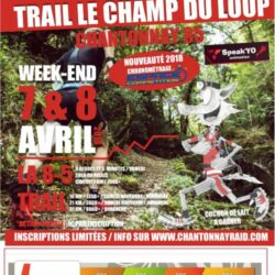 Trail champ du loup