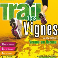 Trail des vignes – Vernou sur Brenne