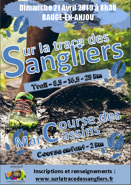 Sur-la-trace-des-sangliers