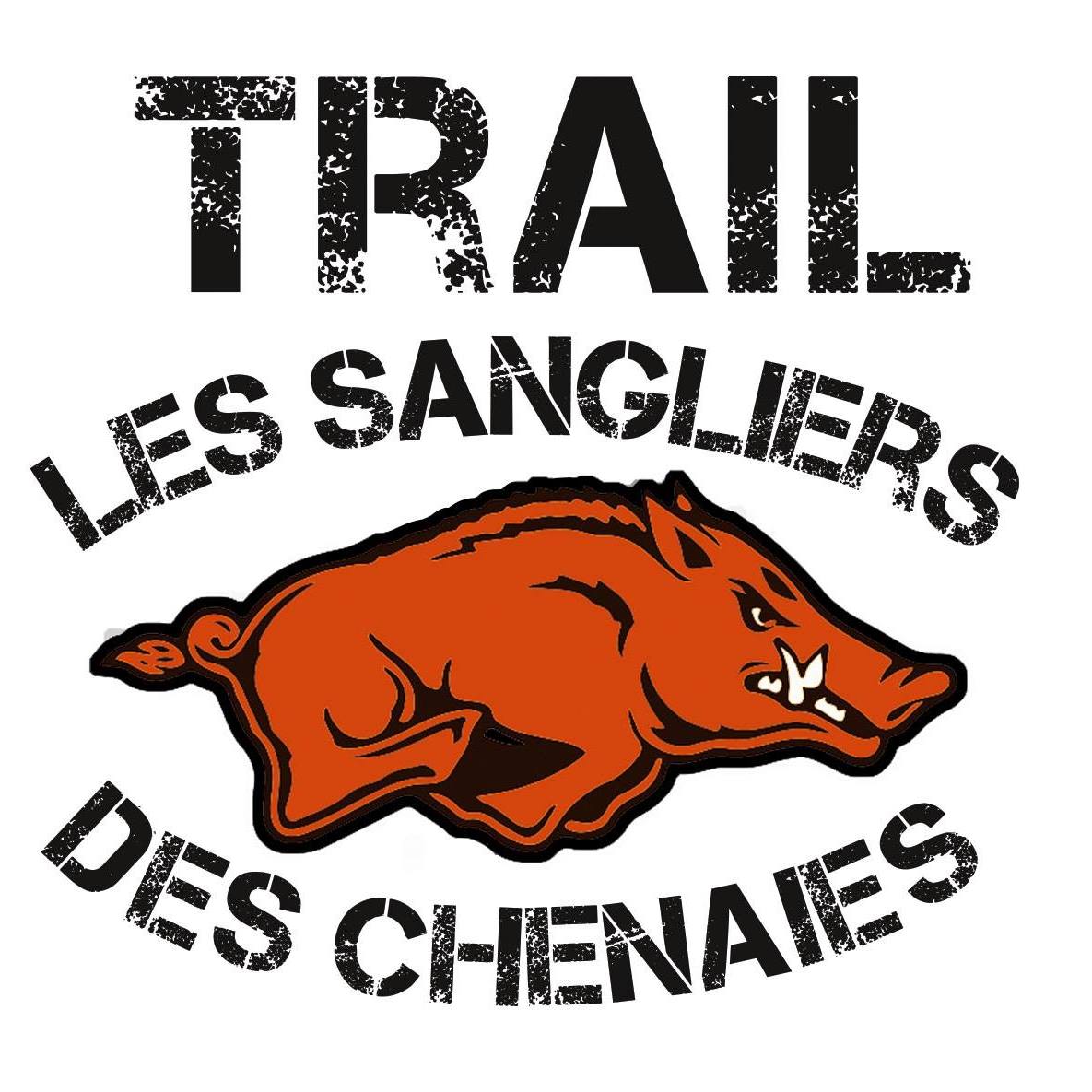 Les-sangliers-des-chesnaies