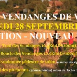 Trail des Vendanges - Vacquiers