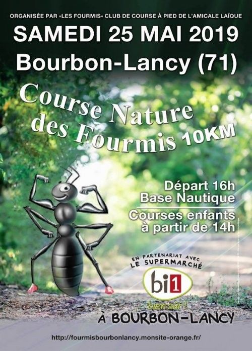 Course-nature-des-fourmis