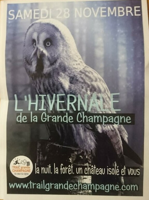 Lhivernal-de-la-grande-champagne