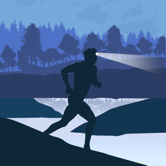 Les illuminés de Meyzieu Les illuminés de Meyzieu