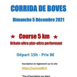 Corrida de Boves