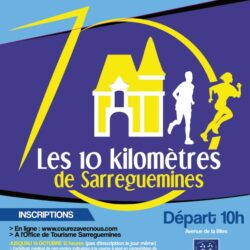 10 kms de Sarreguemines