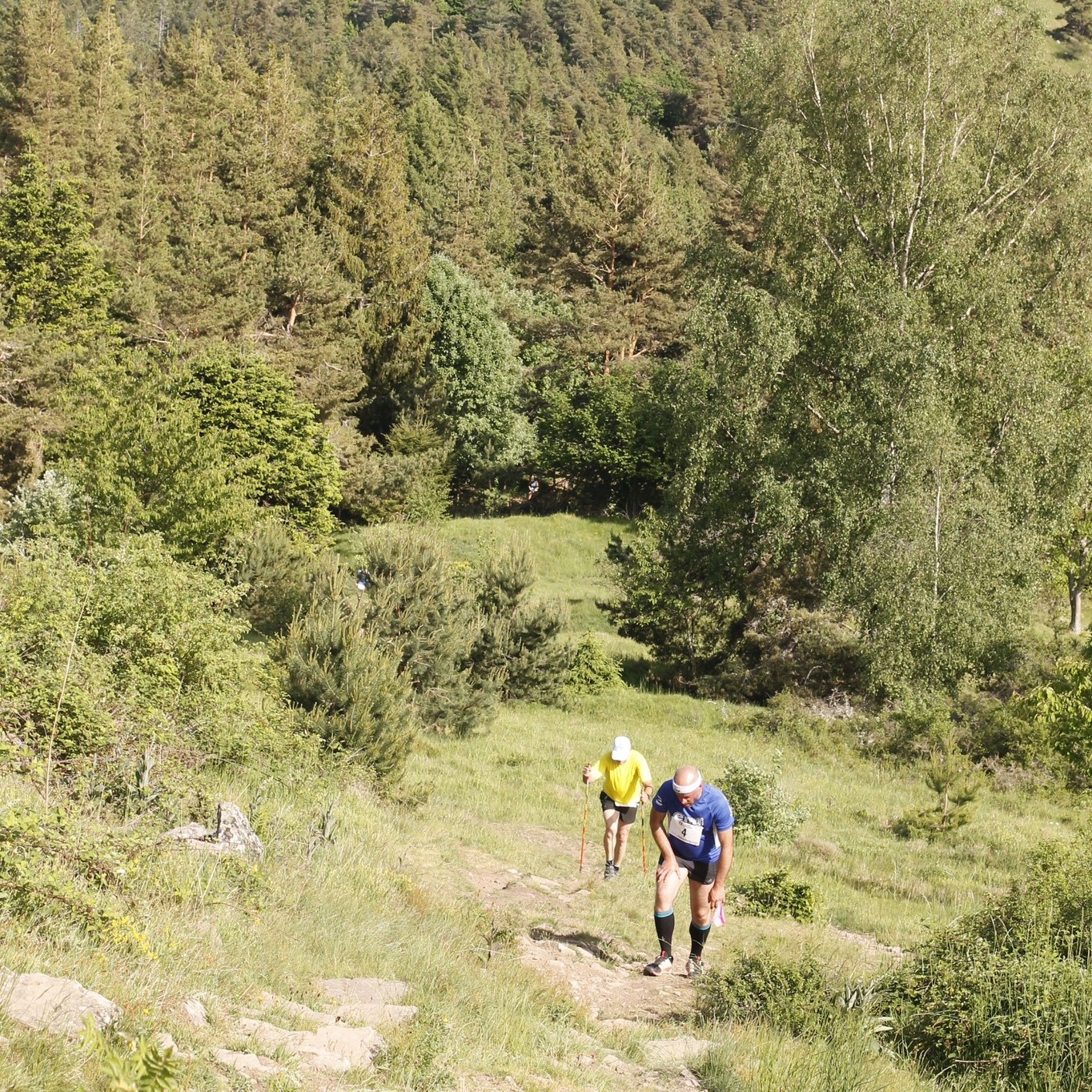 Verticale du Hohrodberg Verticale du Hohrodberg