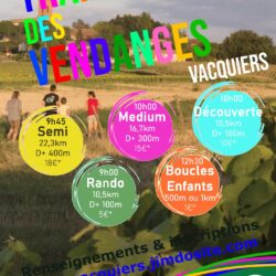 Trail des Vendanges - Vacquiers