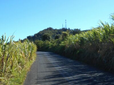 Autour du piton calvaire au plate