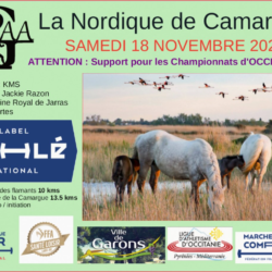 Nordique de Camargue