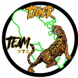 Tiger run five