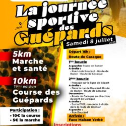 Course des Guépards