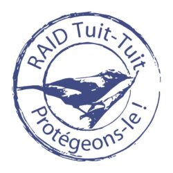 Raid Tuit-Tuit