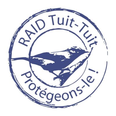 Raid Tuit-Tuit